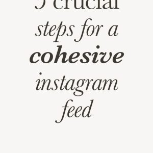 Social Media Aesthetic Presets